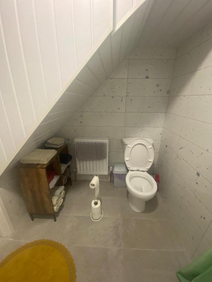 Maire Toireasa - Cosy Refurbished Property In The Gaeltacht Quarter بلفاست المظهر الخارجي الصورة